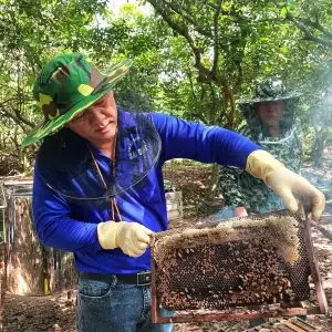 Tour Liên Tuyến: Địa Đạo Củ Chi - Mỹ Tho - Bến Tre (1N)