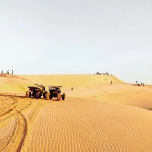Tour Mũi Né (1N)