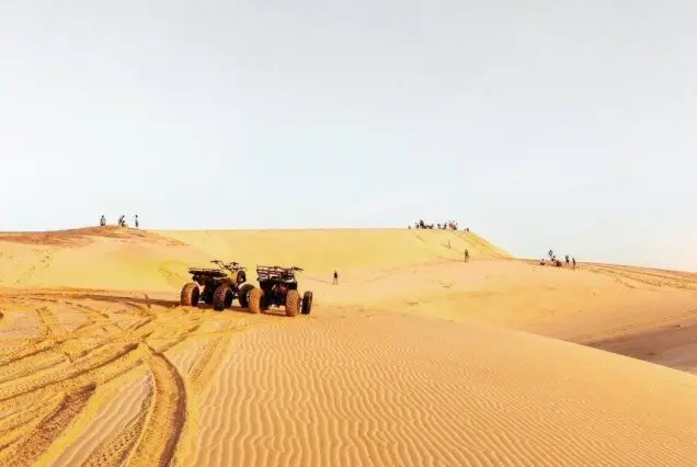 Tour Mũi Né (1N)