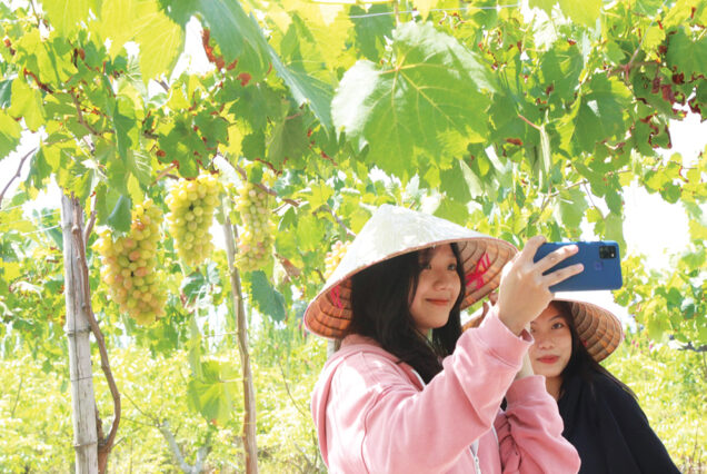 Tour Nha Trang: Miền Cát Trắng (5N4Đ)