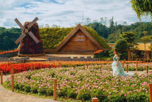 Tour Nha Trang - Đà Lạt - Nha Trang (3N2D)