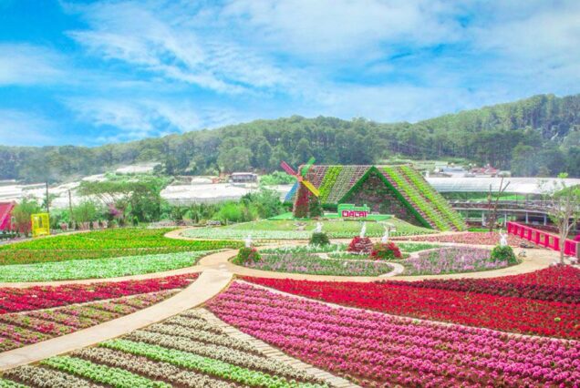 Tour Fresh Garden – Nhà Thờ Domaine – Miền Du Mục – Chùa Linh Phước – Tiệm Nướng Chuyến Tàu Hoàng Hôn