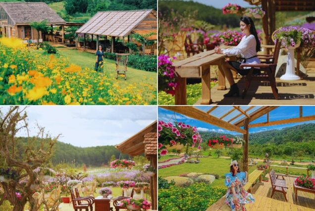 Tour Đà Lạt Full (4N3Đ)