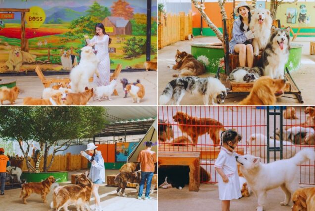 Tour Đà Lạt Đón Sáng Tiễn Trưa (3N2Đ)