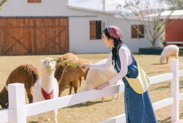 Tour Khám Phá Đà Lạt (Quảng Trường Lâm Viên – Puppy Farm – Dinh Bảo Đại – Green Hill)