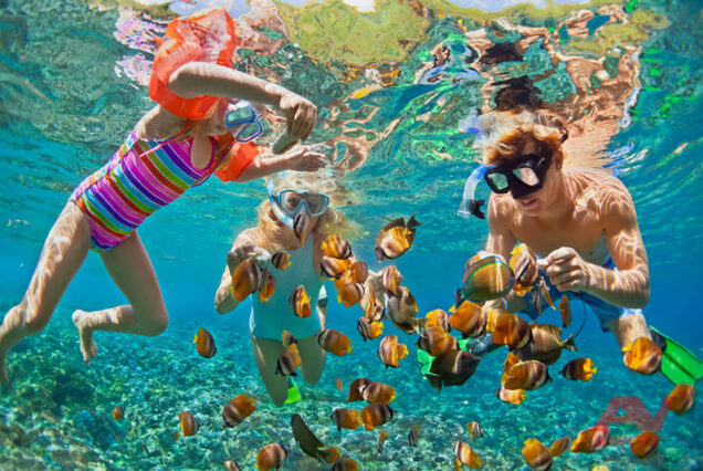 Tour Liên Tuyến Nha Trang - Đà Lạt: Thành Phố Hoa Biển (6N5Đ)