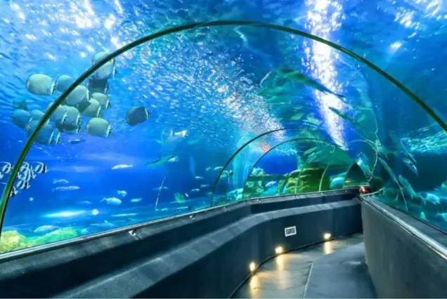 Tham Quan Thành Phố Nha Trang (City Tour)