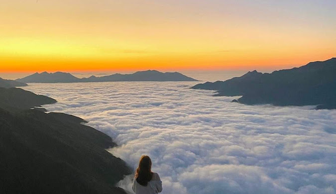 Sapa